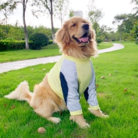 Светло -желтые, синие и белые тонкие рукава