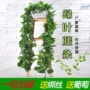 Mô phỏng lá nho nhựa giả hoa nho trần trang trí hoa nho lá xanh - Hoa nhân tạo / Cây / Trái cây giá lan giả hạc rừng