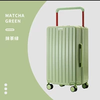 Matcha Green {Cup Halter Model)