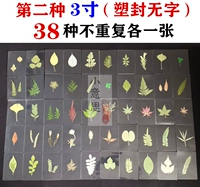 38 маленьких листьев (пластиковые уплотнения без метки)