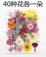 (Без пластикового уплотнения) 40 цветов