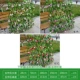 Mô phỏng sân trang trí sân vườn ban công cây xanh hàng rào hàng rào gỗ căng căng hàng rào tre hoa giá lan can lan can