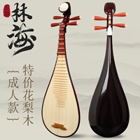 [Взрослый] Специальное предложение!Hualu Wood Pipa (раздача пианино)