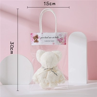 Белый новый белый медведь-прозрачная сумка