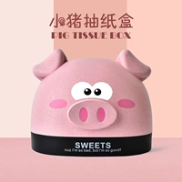 Розовая свинья (насосная коробка)