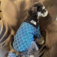 Крутая хлопковая куртка Qi синий