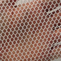 Tùy chỉnh 
            nylon đan xen lưới nylon mềm lưới mềm lưới chống muỗi vải lưới lưới đánh cá vải lỗ tròn lưới lục giác lưới cá koi vải nỉ cứng