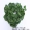 Mô phỏng cây nho lá xanh lá nhựa nhựa cây xanh ống nước uốn lượn hoa giả mây trang trí trần - Hoa nhân tạo / Cây / Trái cây