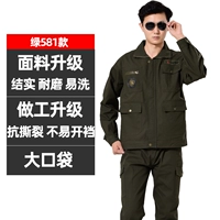 Зеленый 581 Пакет