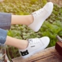 Hàn Quốc dễ thương mèo graffiti giày mới cắt thấp ren giày đơn nữ phẳng giày vải hoang dã thường giày giày balenciaga nữ