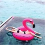Bơi vòng phao cứu sinh inflatable flamingo công viên nước nguồn cung cấp hàng nổi PVC ghế bơm hơi phao bơi tròn cho bé