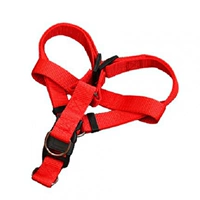 Красная грудь, спина, грудь и спина