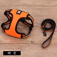 Sunshine Orange Better+Tearning Tove