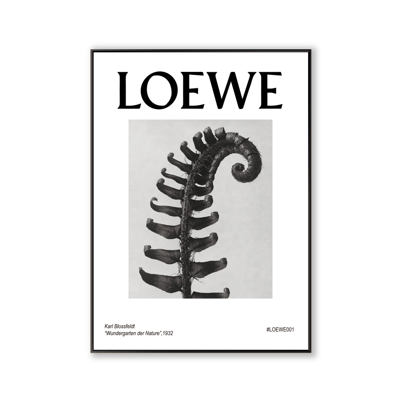 ALOEWE-2ins Decorative painting Northern Europe Drawing room restaurant couture Floor painting Porch bedroom Minority Hang a picture