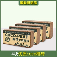 [Рекомендуется менеджером] Четыре высококачественных кокосовых кирпича