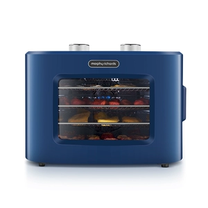 Morphy Richards/Mo Fei Electric Ganitgare Fruit Match