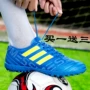 Giày bóng đá gãy móng tay nam và nữ Giày tập luyện Ailema Giày bóng đá trẻ em CP9071NEMEZIZTANGO 17.4 giày đá bóng
