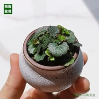 Джиху -керамический бассейн Отправить водопоглощение