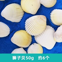 Lion Shell 50g около 6