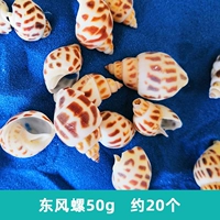 Dongfeng Snail 50G около 20