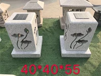 Серая белая коношка