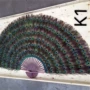 Peacock quạt lông tự nhiên tinh khiết trang trí thủ công phụ kiện nhà thủ công lớn mặt dây chuyền lông thật - Trang trí nội thất phụ kiện trang trí ban công