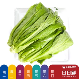 [日日鲜 油麦菜300g/份]