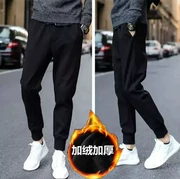 Mùa thu và mùa đông nam phiên bản Hàn Quốc của miệng hoang dã và quần harem cashmere cộng với phân bón XL người béo chân thường