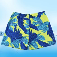 Желтые -синие листья YK48885