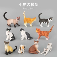 Модель животного, японская игрушка, твердое украшение, познавательная кукла, котенок, кот, домашний питомец, раннее развитие