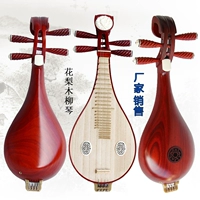 Liuqin Musical Instrument Beginner Начало работы Liuqin Chicken Wing Mi Liuqin два -из которых играет