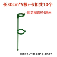 Большой -калибр высокий 30 см [5 ветвей] Дайте 10 фиксированную пряжку 10