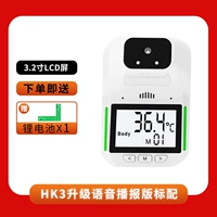 HK3 обновлять Voice Version Standard