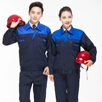 Тибетская Лан Шан Янлан (модель с высоким уровнем)