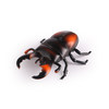 Remote control new beetle-Black Orange