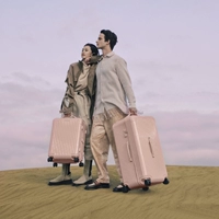 Dream Fan (Право на этой картинке = стиль покупки) спортивная версия