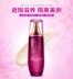 Một nhánh hoa cúc xuân khổng lồ dưỡng ẩm sâu hồng BB cream làm sáng kem che khuyết điểm dưỡng ẩm sửa chữa trang điểm nude thoáng khí BB cream perfect cover bb cream Kem BB