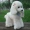 Wei Wei Beibei VIP Dog Doll Chân dài Chó đứng Đồ chơi sang trọng Teddy Dog Ragdoll Girl Gift Child - Đồ chơi mềm