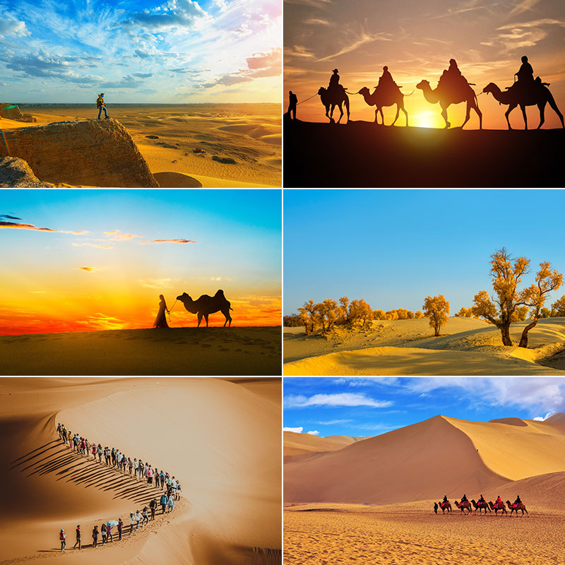 沙漠荒野旷野干旱贫瘠之地金字塔骆驼落日干涸高清照片图片素材