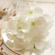 Мыльная вышивка мяча цветок -белый