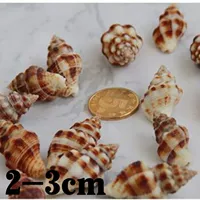 Пять цветных натуральных коноплей улиток