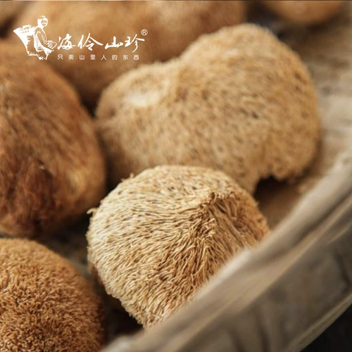 Zhao Hailing | Hai Lingshan Zhen 丨 Horizone Mushroom Dry Goods Натурально посаженные гемореей