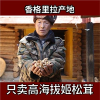 Jiusato Dry Goods Yunnan Specialty Shangri -la Высоко высокие бактериальные грибы наполовину дикие купить 1 Получить 1 Получить 1 бесплатно 500
