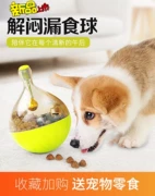 Chó cung cấp thông tin rò rỉ thiết bị thời gian mèo cổ điển chó rò rỉ thực phẩm bóng vật nuôi chó đồ chơi chó thực phẩm giết chết phổ quát - Mèo / Chó Đồ chơi