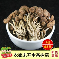 Jiangxi Wild Dry Dry Tee Trie