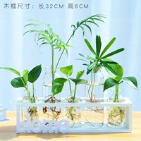 5 бутылок белой краски+[растения на картинке]