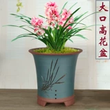 Настольный цветочный горшок, орхидея