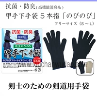 Zen props Новый тип доспехи Kendo Anti -Odor против херилизации перчатки броня ручной сумки для брони для перчатки пятно пятно