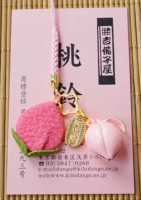 Ограниченная модель