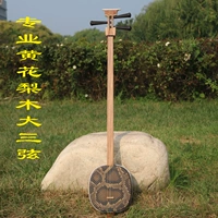 Da Sanxian Professional Huanghuali mu mi играет в классе Большой сансин Rysecan String Skin Nation Prading Musical Infumt